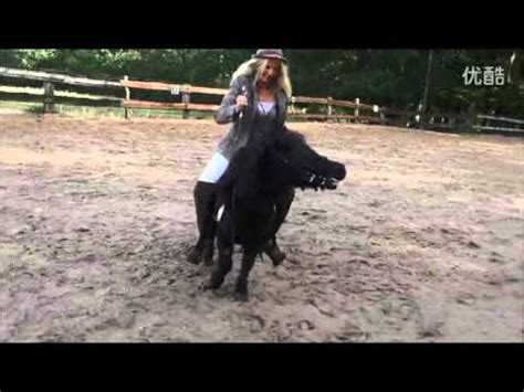 xxx reiten|Riding 564,773 videos